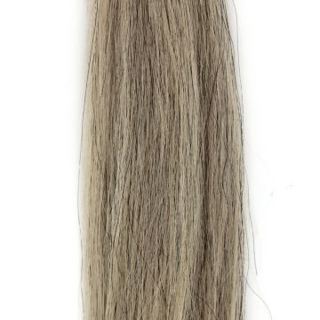 Champion Double Horse Tail (White or Lt. Grey)