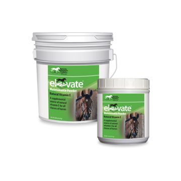 Elevate Maintenance Powder
