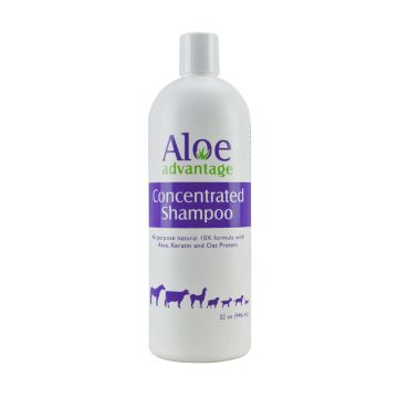 Aloe Advantage Concentrated Shampoo 32oz