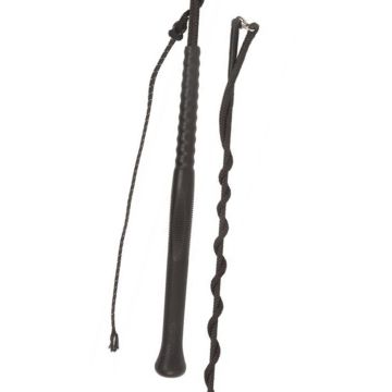 Fleck Lunge Whip with Ergonomic Handle and Separate Lash