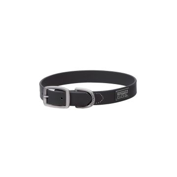 Brahma Webb Terrain Dog Collar