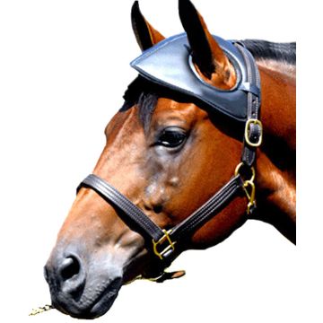 Intrepid Leather Head Bumper with Felt Lining