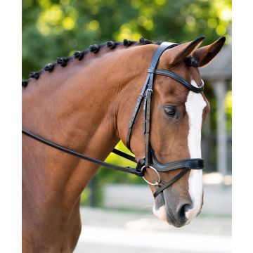 KL Select Black Oak Palm Ergonomic Dressage Bridle With Flash Crank & Reins