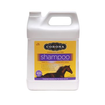 Corona Concentrated Shampoo (1 Gallon)