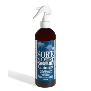 RJ Matthews Sore No More Performance Liniment With Sprayer (16oz)