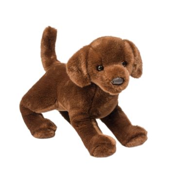 Douglas Toy Cocoa Chocolate Lab