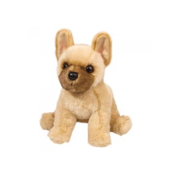 Douglas Napoleon French Bulldog