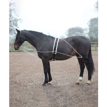 Shires Lunging Aid System