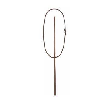 Pessoa Rodrigo Raised Fancy Standing Martingale