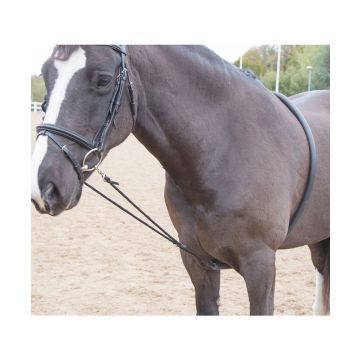 Soft Lunging Aid