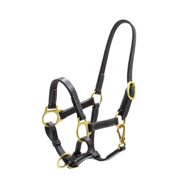 Halter Gatsby Weanling W/Snap