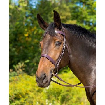 Avignon Middleburg Bridle