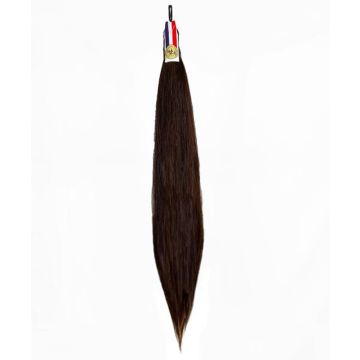 Champion Double Horse Tail (Black or Chestnut)
