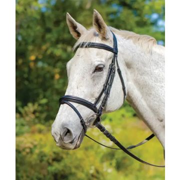 Shires Avignon Louisville Raised Passed Bridle With Reins