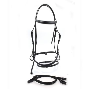 HDR Pro Padded Dressage Bridle with Web Reins