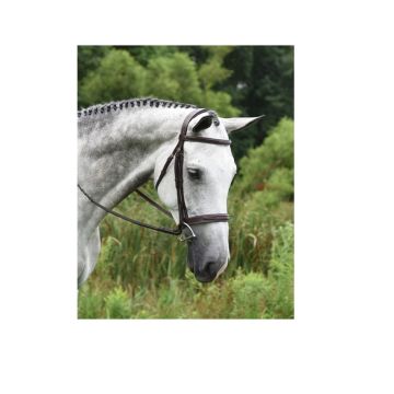 Red Barn Indio Hunter Bridle