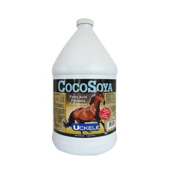 Cocosoya (1 Gallon)
