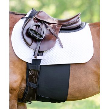 EquiFit Bellyband+