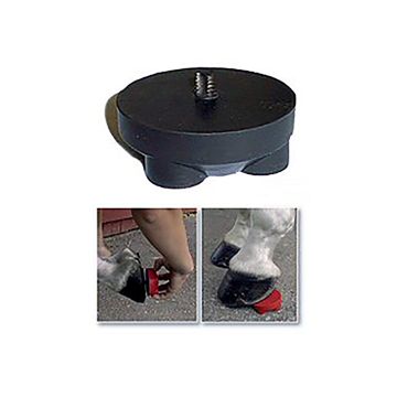 Safety Spin