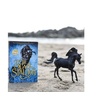 Breyer Black Stallion Horse & Book Set