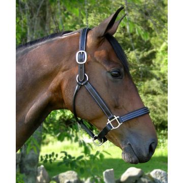 Red Barn Triple-Stitched & Padded Tina Show Halter