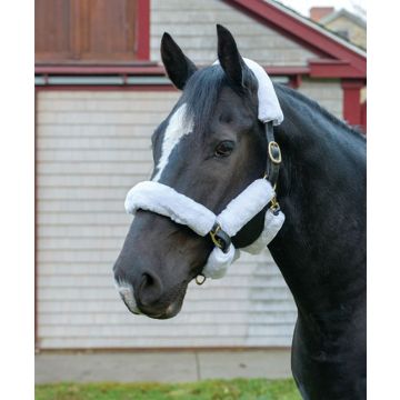 Shires Supafleece 6 Piece Halter Fleece Set