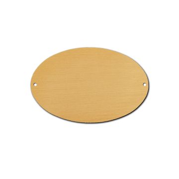 Oval Brass Trunk Plate 4" x 6"