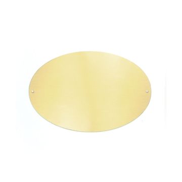 Oval Brass Trunk Plate (6" x 9")