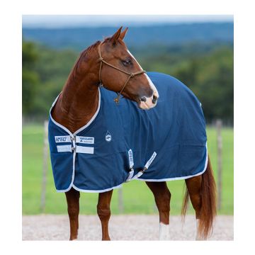 Amigo Stable Sheet (No Fill)