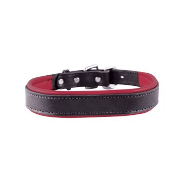 Perri's Padded Leather Dog Collar