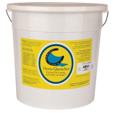Horse Quencher Pail (13lb)
