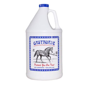 Gastroade (1 Gallon)