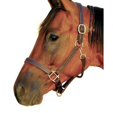 Triple Stitched Deluxe Track Halter