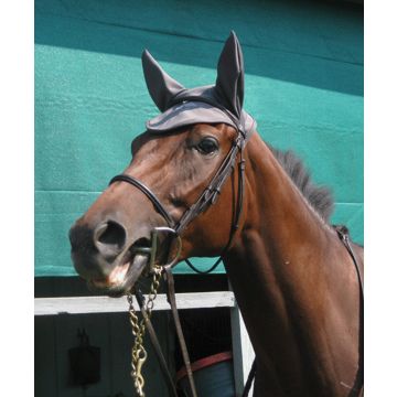 Fenwick Liquid Titanium Therapeutic Ear Bonnet