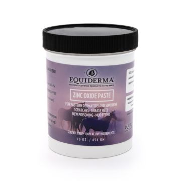 Equiderma Zinc Oxide Paste 16 oz