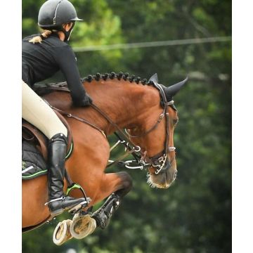 ReinRite Sport Horse Training Aid