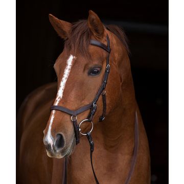 Rambo Micklem Original Competition Bridle