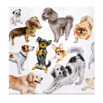 Decorative Luncheon Paper Napkins