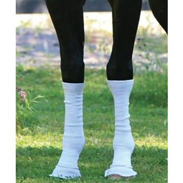 Summer Whinnys Sox For Horses