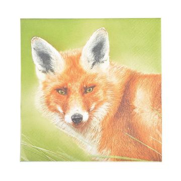 Esschert Design Napkins (Pack of 20)