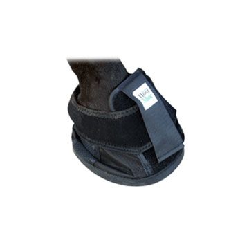 The Natural Hoof Shoe